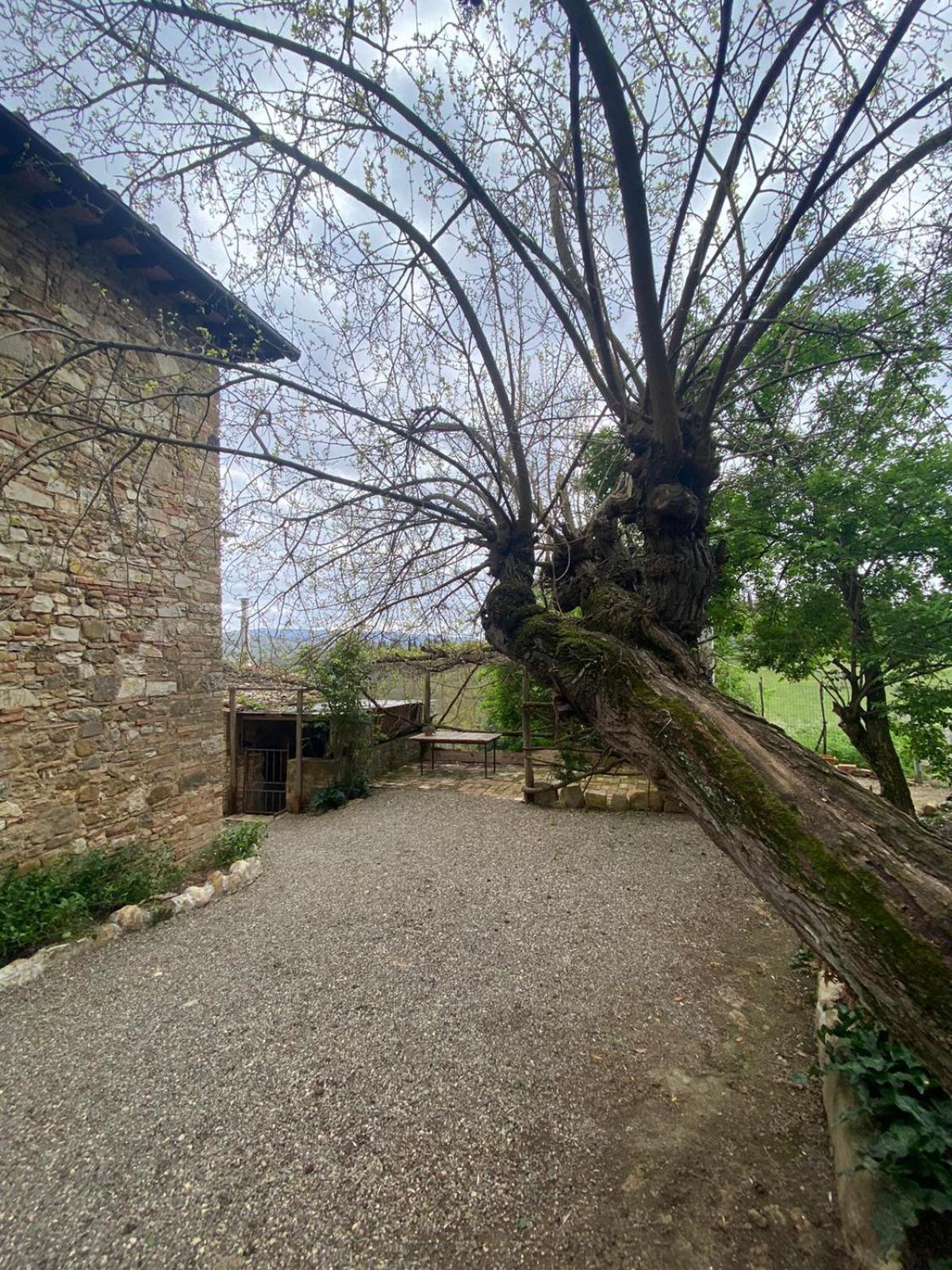 Campora House Hotel Tavarnelle Val di Pesa Eksteriør billede